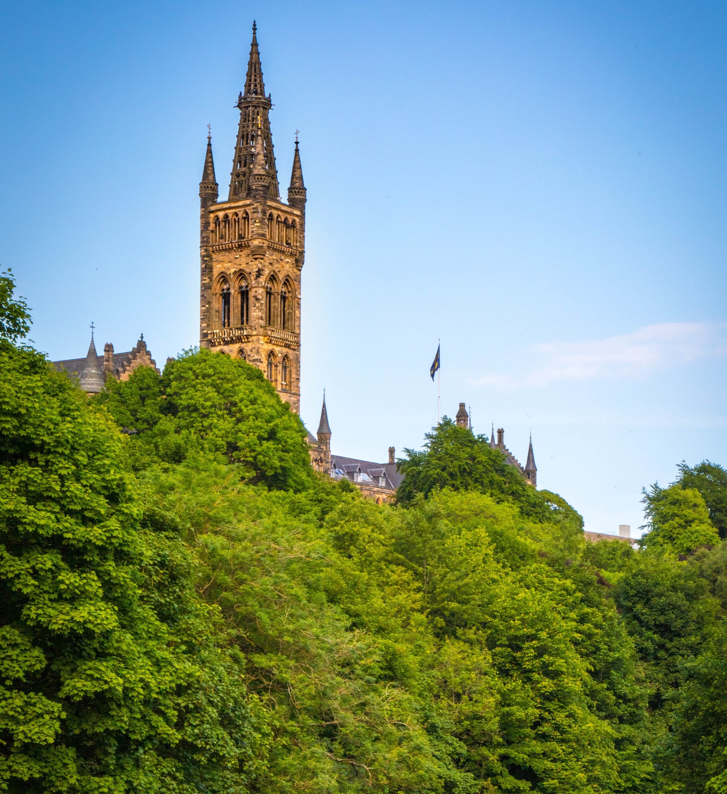 Glasgow launches online tool to support reforestation